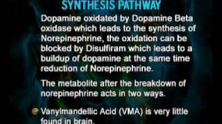 PSY610_Lecture32