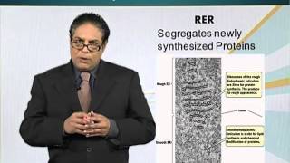 BIO201_Topic018