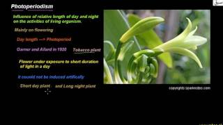 Photoperiodism