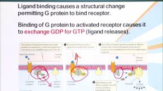 BIO201_Topic104