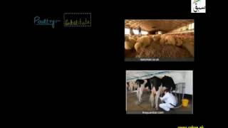 Cereal Crops, Poultry, Dairy