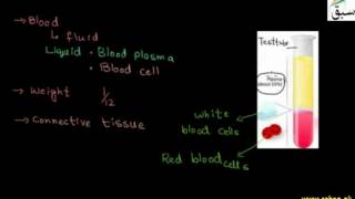 Blood, Blood Plasma