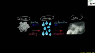 More on Physical Properties of Water
