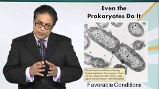 BIO201_Topic038