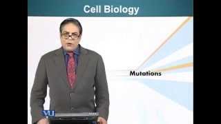 BIO201_Topic091