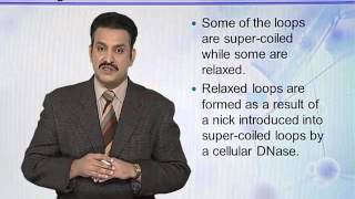 BIO302_Topic029