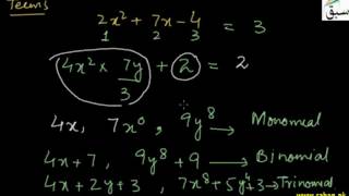 Polynomials w.r.t Terms & Variables