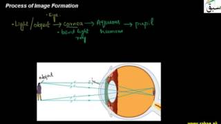 Process of Image Formation