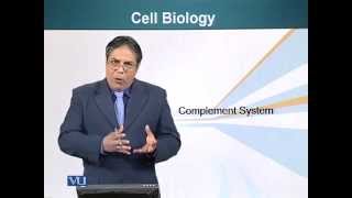 BIO201_Topic138
