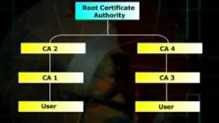 IT430_Lecture22
