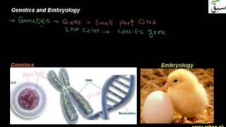 Genetics and Embryology
