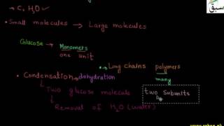 Glucose to Carbohydrates