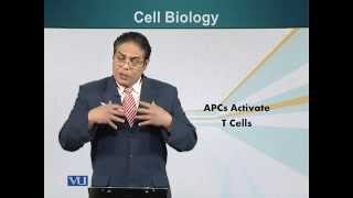 BIO201_Topic131