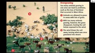 Contribution of Abu Usman Aljahiz