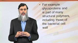 BIO202_Topic017
