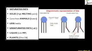 Saturated and Unsaturated Fats
