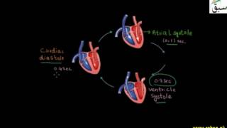 HeartBeat and Pulse Rate