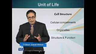 BIO201_Topic013