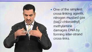 BIO302_Topic068