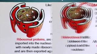 BIO201_Topic149