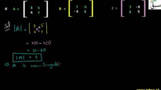 Problem 1: Inverse of Matrix using Adjoint