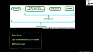 More on Cytoplasm, Cell organelles