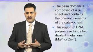 BIO302_Topic041