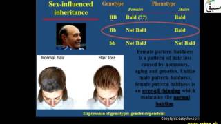 Sex Limited Trait, Sex Influenced trait