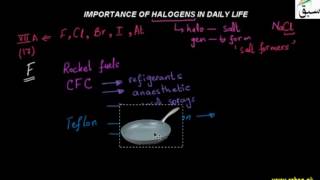 Importance of Halogens in Daily Life