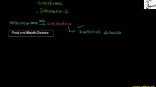 Achievements in Curing in Animal Diseases