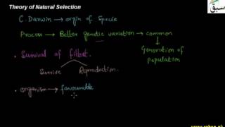 Theory of Natural Selection
