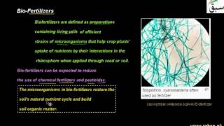 Bio-Fertilizers