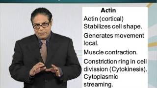 BIO201_Topic021