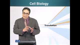 BIO201_Topic089