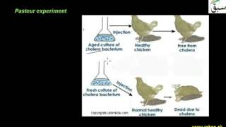 Immunization and Vaccination