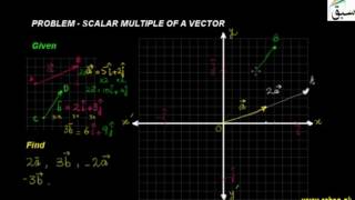 Problem-Scalar Multiple of a Vector