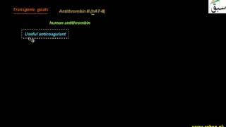 Application of Transgenic Animals