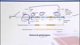 BIF733_Topic034