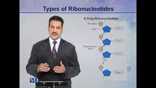 BIO302_Topic013
