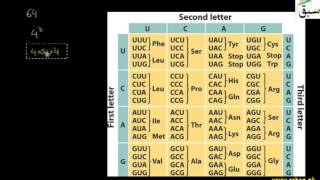 Genetic Code