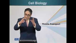 BIO201_Topic160