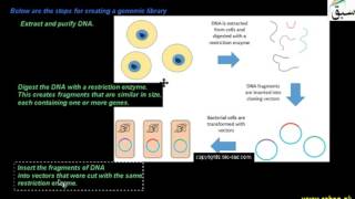 Genomic Library