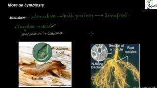 More on Symbiosis