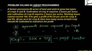 Problem Solving in Linear Programming