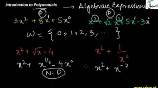 Introduction to Polynomials