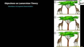 Objections on Lamarckian Theory
