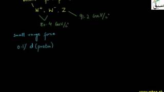 Weak Nuclear Force and Electroweak Force
