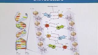 BIF732_Topic009