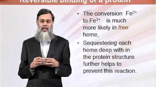 BIO202_Topic079