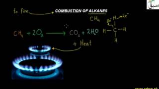 Combustion of Alkanes